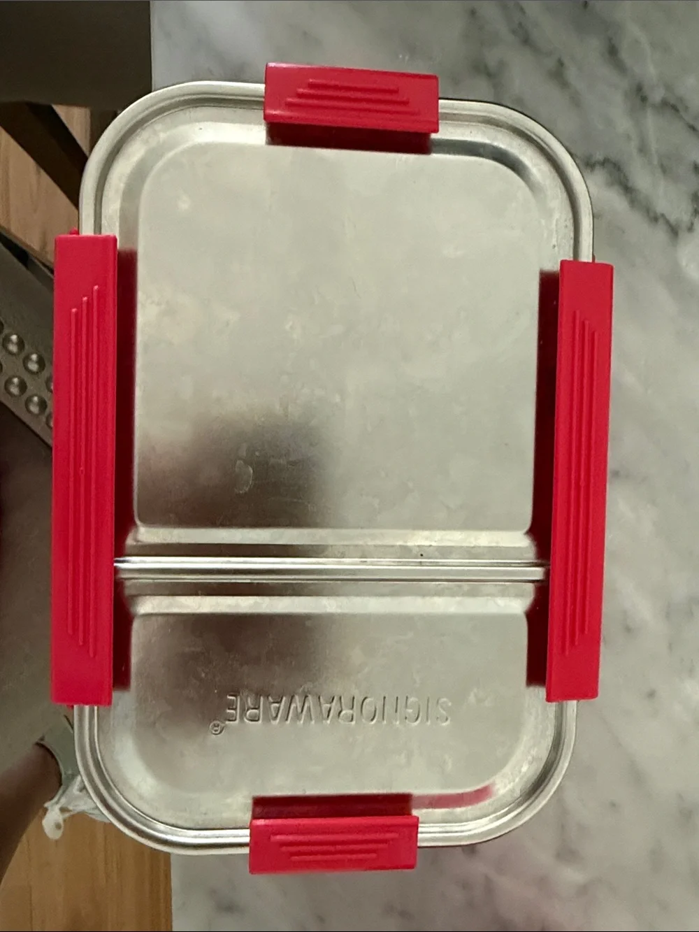 Stainless Steel Food Storage Container with Red Clips -